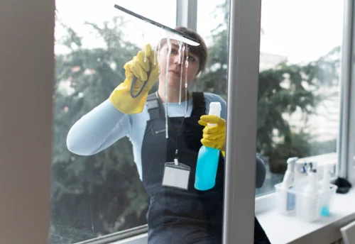 Nettoyage de vitres intérieures et extérieures à Escaro